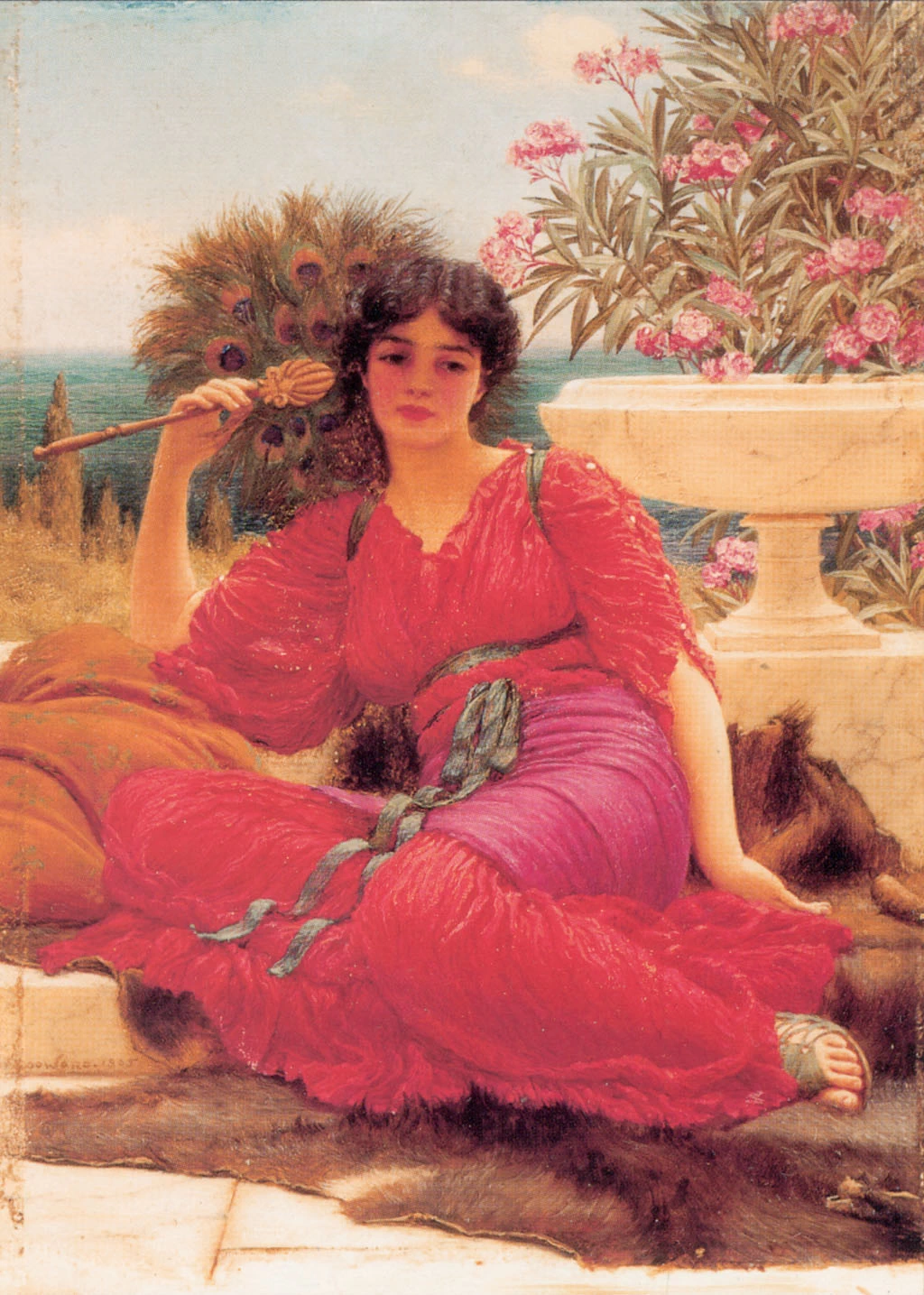 Flabellifera, 1905 1